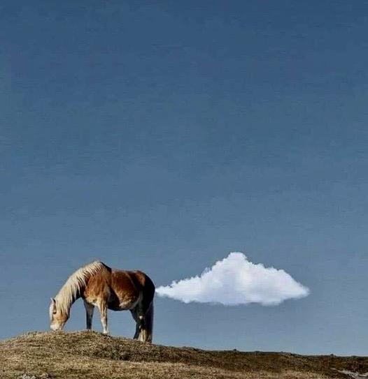 bottyburp