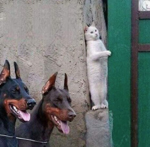 hiding