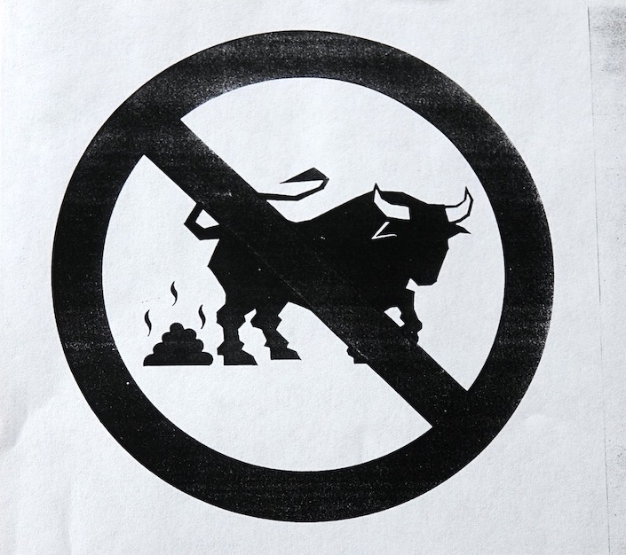 bull
